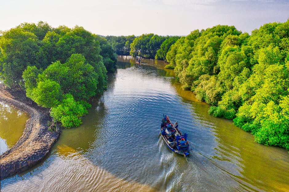 Eco-Friendly Innovations in Boating